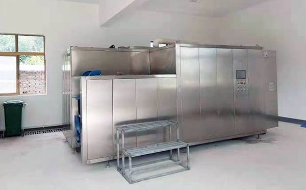 生活一色桃子在线视频